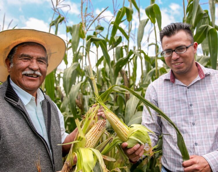 Pago de Producción para el Bienestar se entregará a 1.8 millones de personas