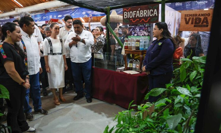 Nueva planta de chocolate en Tabasco impulsará el cacao de Sembrando Vida