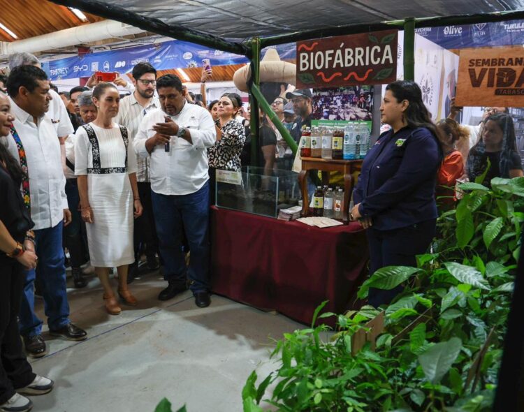 Nueva planta de chocolate en Tabasco impulsará el cacao de Sembrando Vida