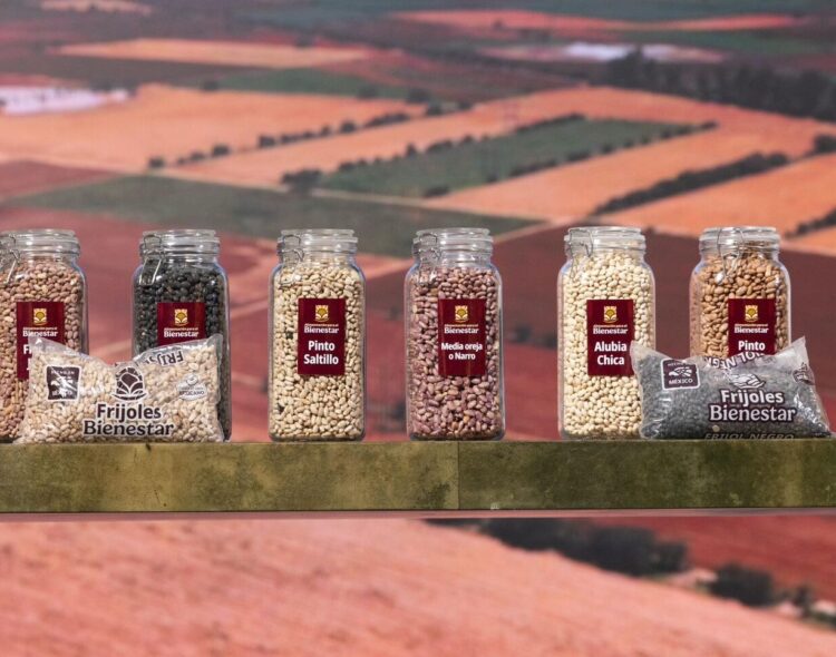 Frijoles Bienestar, un pago justo para las y los productores gracias a los Precios de Garantía