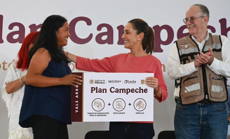 Plan Campeche potenciará el cultivo de arroz con Producción y Fertilizantes para el Bienestar