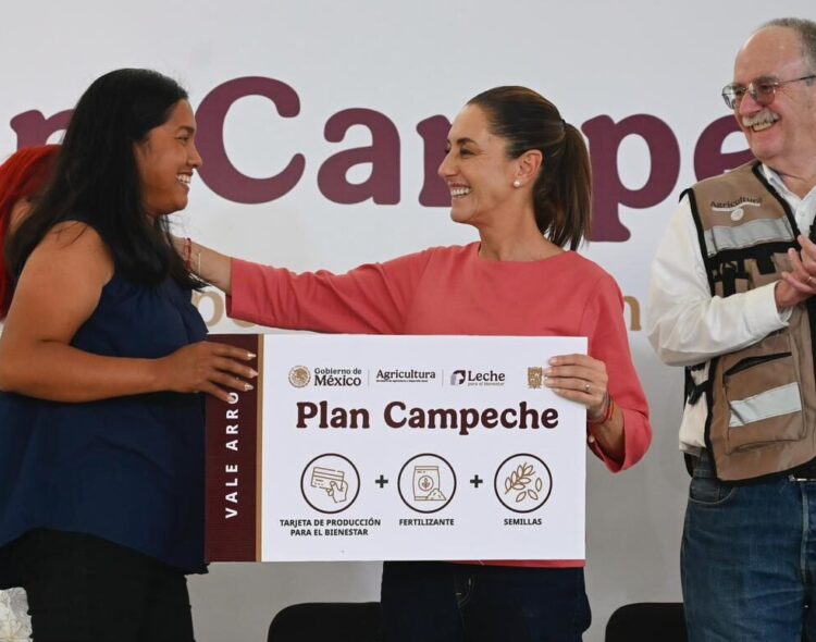 Plan Campeche potenciará el cultivo de arroz con Producción y Fertilizantes para el Bienestar
