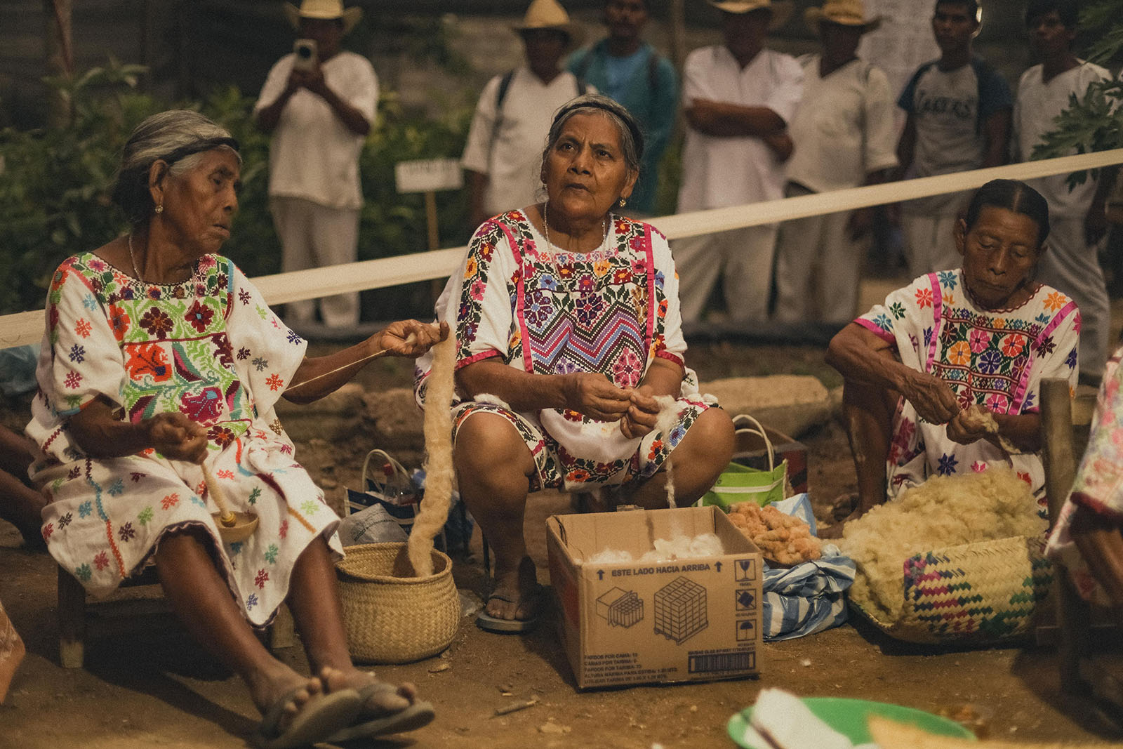 algodon-amuzgo-Sembrando-Vida