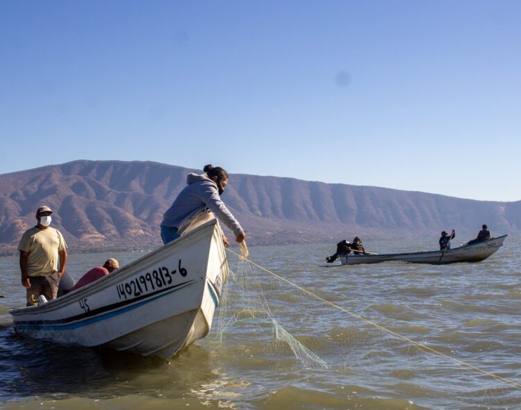 Bienpesca sube a 8 mil pesos: aumenta el apoyo anual para pesca y acuicultura