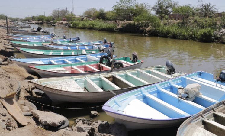 Bienpesca: arranca proceso de verificación y actualización de datos en estos municipios