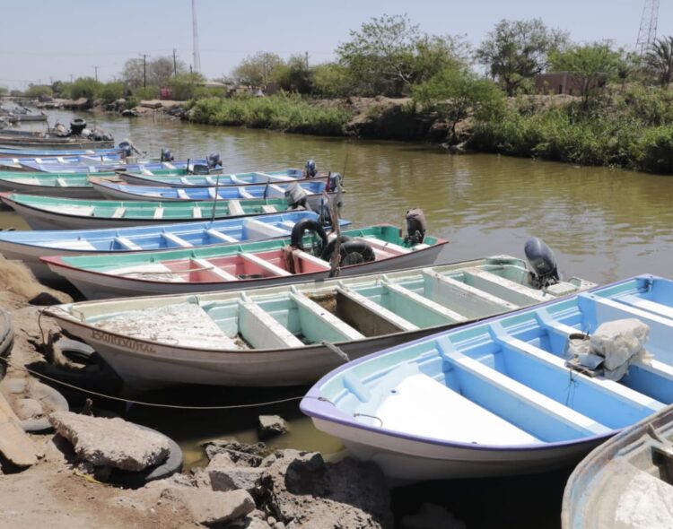 Bienpesca: arranca proceso de verificación y actualización de datos en estos municipios