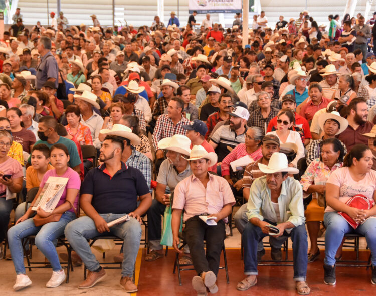 Producción para el Bienestar: más que apoyo económico, un acompañamiento técnico integral