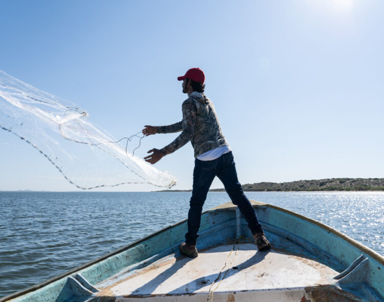 De 2020 a la fecha, se han invertido más de 5 mil 500 mdp en el programa Bienpesca