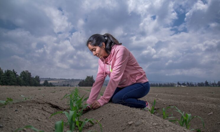 Del 26 al 28 de febrero, pagos a las y los beneficiarios de Producción para el Bienestar