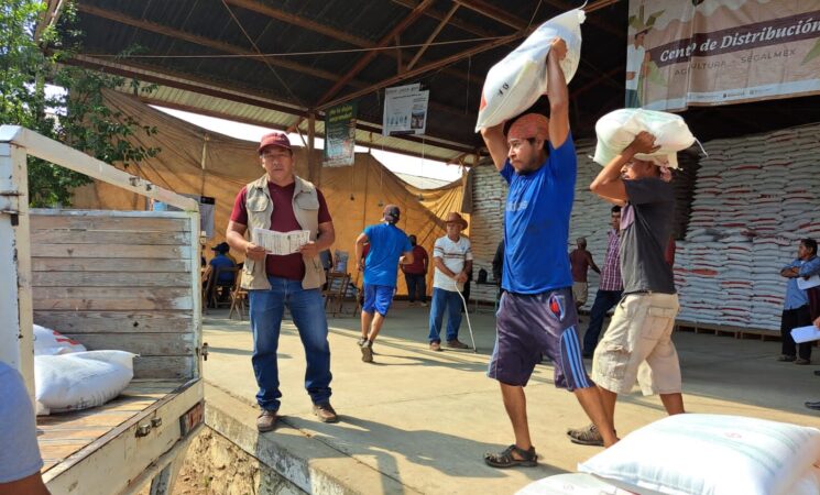 Fertilizantes para el Bienestar 2026: comienza distribución gratuita en 5 estados