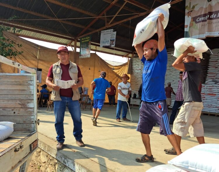 Fertilizantes para el Bienestar 2026: comienza distribución gratuita en 5 estados