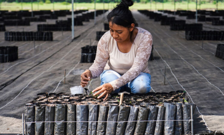 México beneficia con programas sociales a 71 mil personas en 8 países para reducir la migración