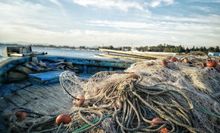 Bienpesca apoya a 193 mil pescadores; 76% de los municipios beneficiados son indígenas