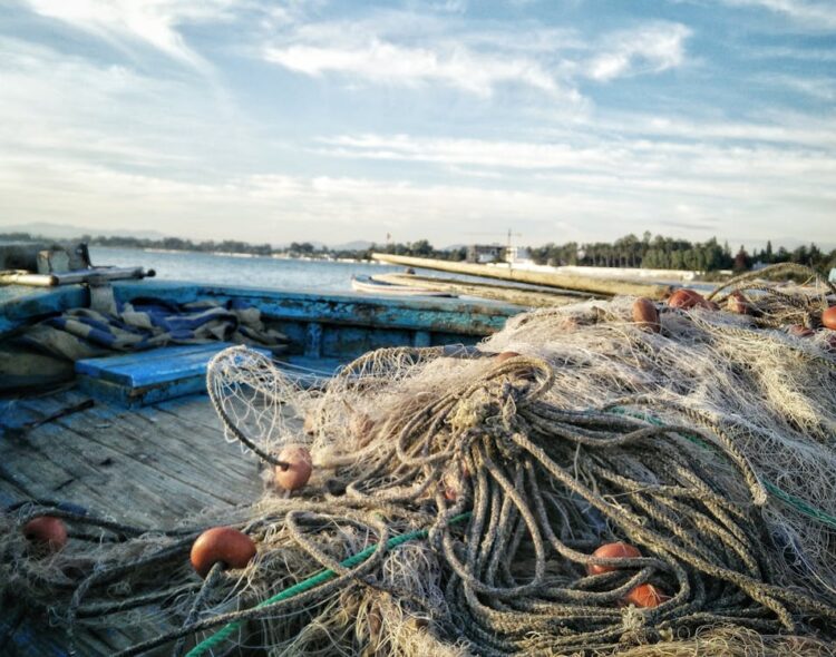 Bienpesca apoya a 193 mil pescadores; 76% de los municipios beneficiados son indígenas