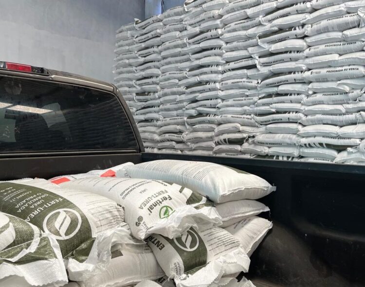Fertilizantes para el Bienestar inicia entregas de insumos gratuitos en 7 estados más