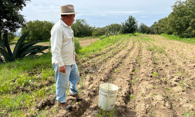 Cumple Producción para el Bienestar: más de 2 millones de derechohabientes ya recibieron su pago de 2025
