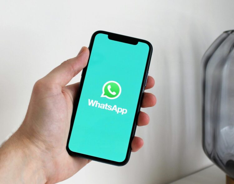 ¿Cómo unirse al canal de WhatsApp de Programas para el Bienestar? Sigue estos pasos