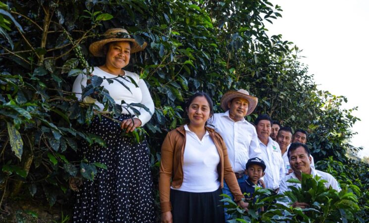 Café, cacao, limón y otros productos mexicanos llegan a Alemania de la mano de Sembrando Vida