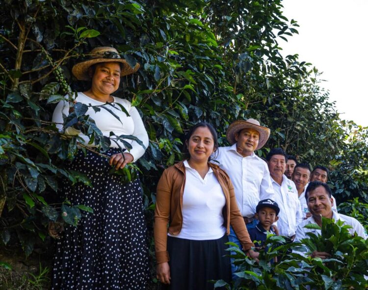 Café, cacao, limón y otros productos mexicanos llegan a Alemania de la mano de Sembrando Vida
