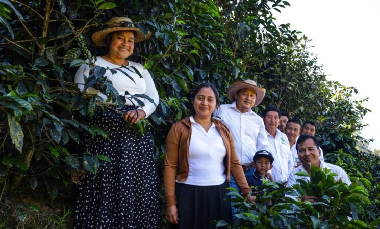 Los Programas para el Bienestar se unen a la Jornada Nacional de Reforestación 2026