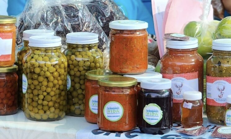 Con más de 3 mil 880 tianguis campesinos, Sembrando Vida ofrece alimentos sanos