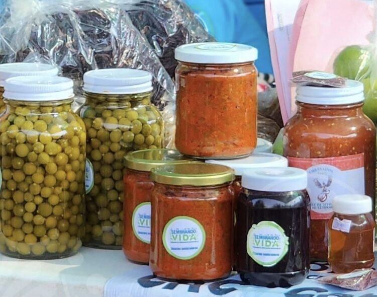 Con más de 3 mil 880 tianguis campesinos, Sembrando Vida ofrece alimentos sanos