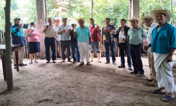 Sembrando Vida suma esfuerzos contra el gusano barrenador con trabajo comunitario y vigilancia