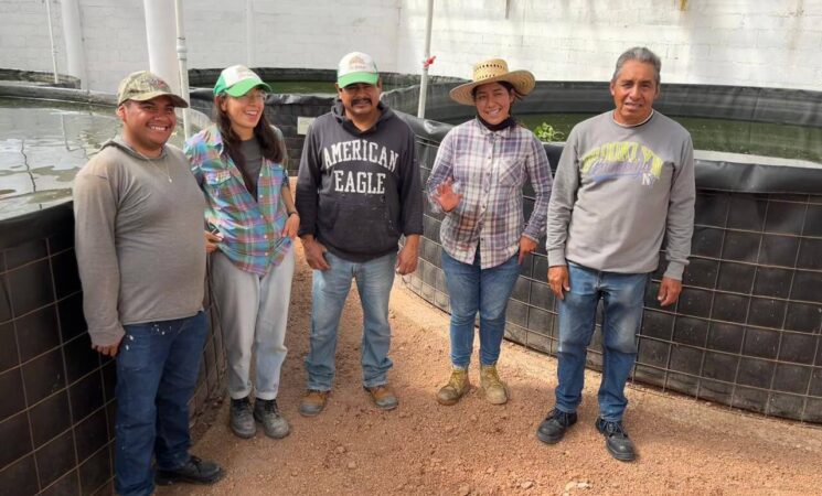 Jóvenes Construyendo el Futuro impulsa la productividad de los centros de trabajo