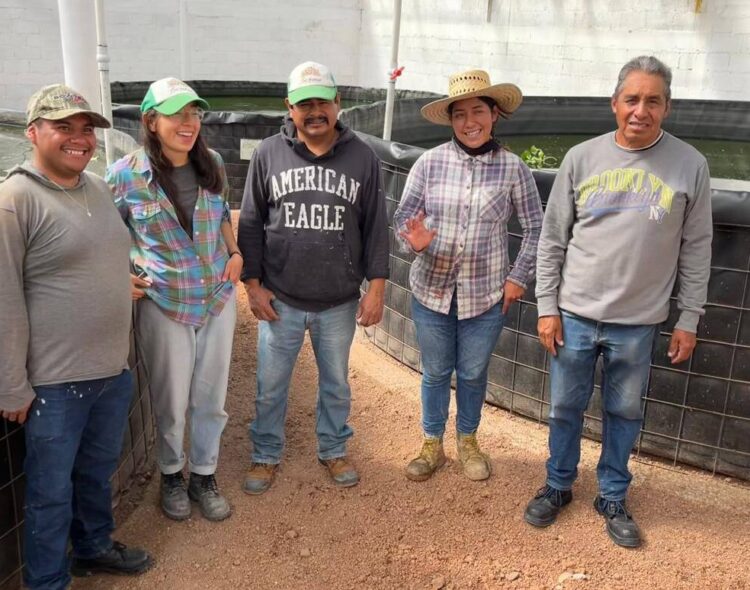 Jóvenes Construyendo el Futuro impulsa la productividad de los centros de trabajo